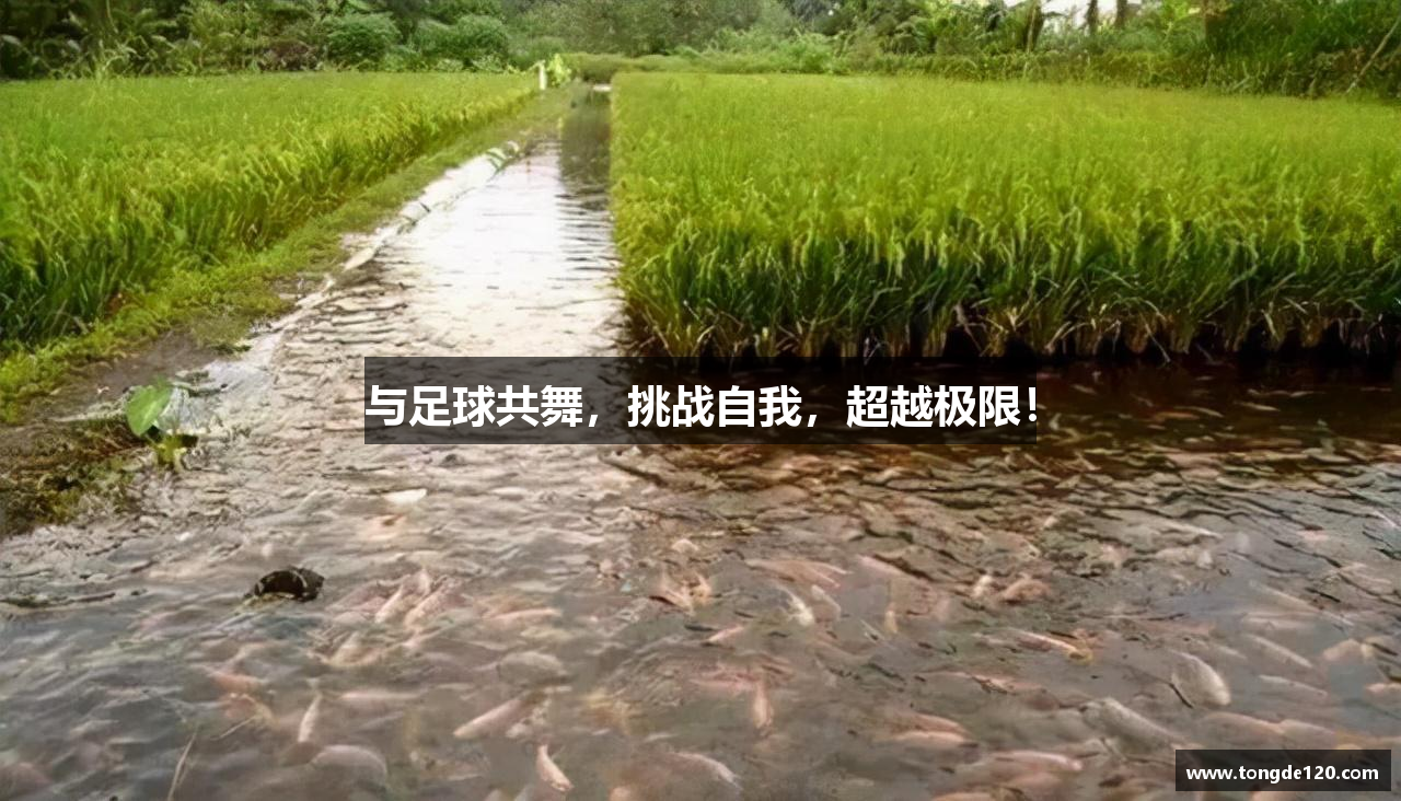  米兰体育官方app下载